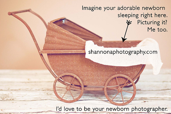 PRAMshannona