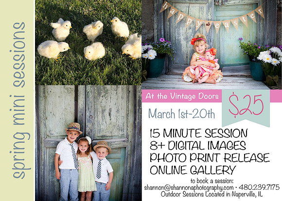 springminis2016