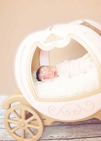Everly034