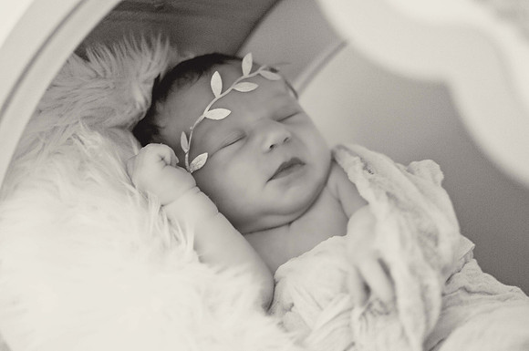 Everly042