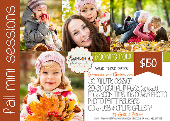 fallminis2013