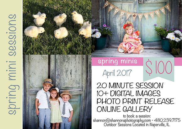 SpringMinis2017_edited-1