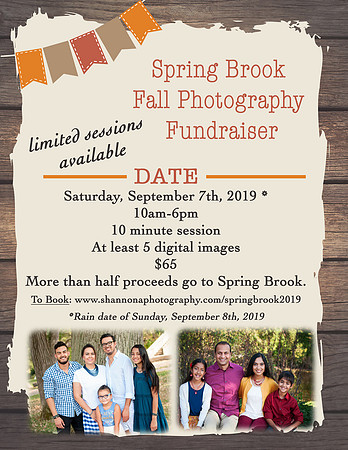 SpringBrookFall