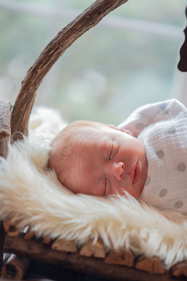 BabyHaugens080