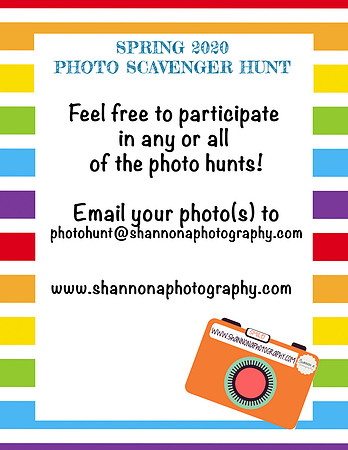 PHOTO HUNT EMAIL
